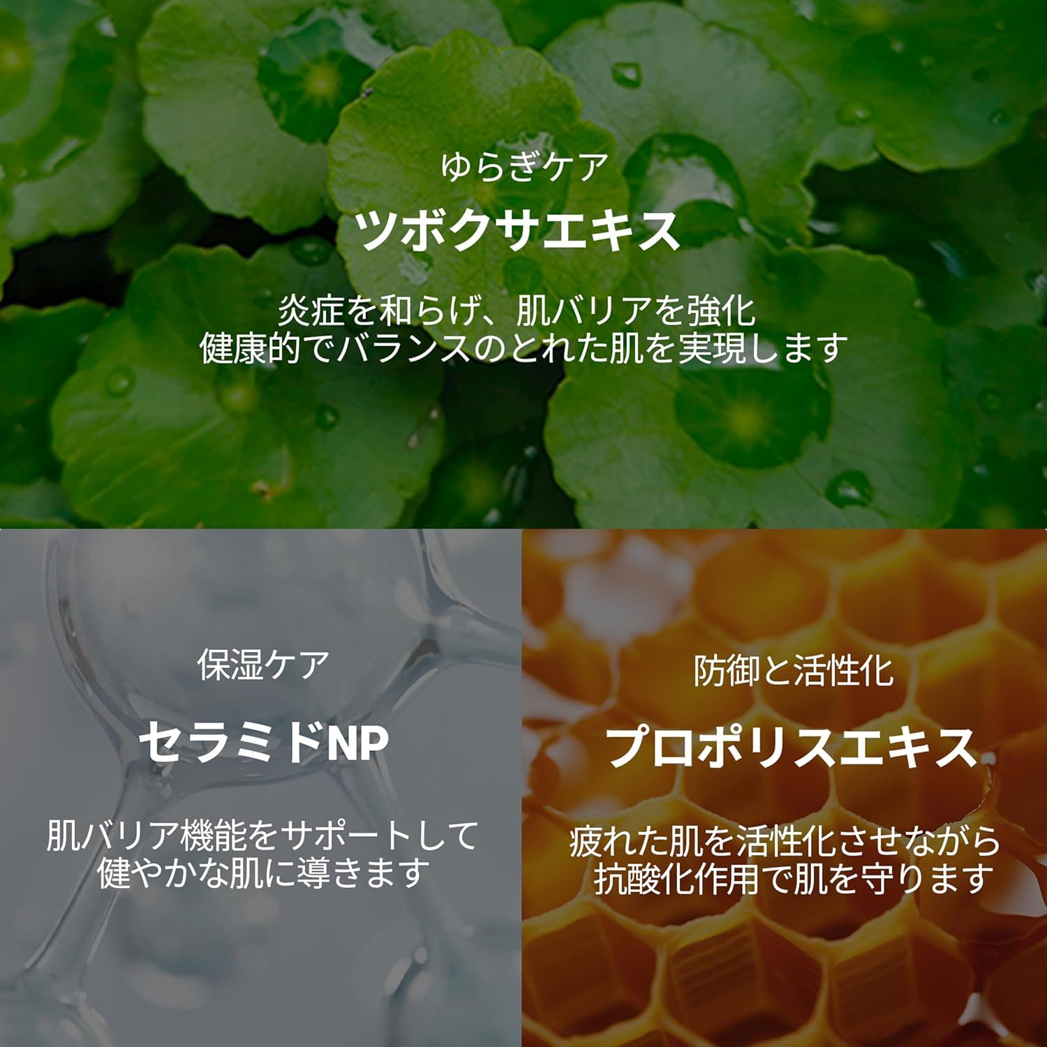 Graphique avec ingrédients. Texte : Centella Asiatica, Céramides NP, Extrait de propolis. Fond : feuilles vertes, nids d'abeilles.