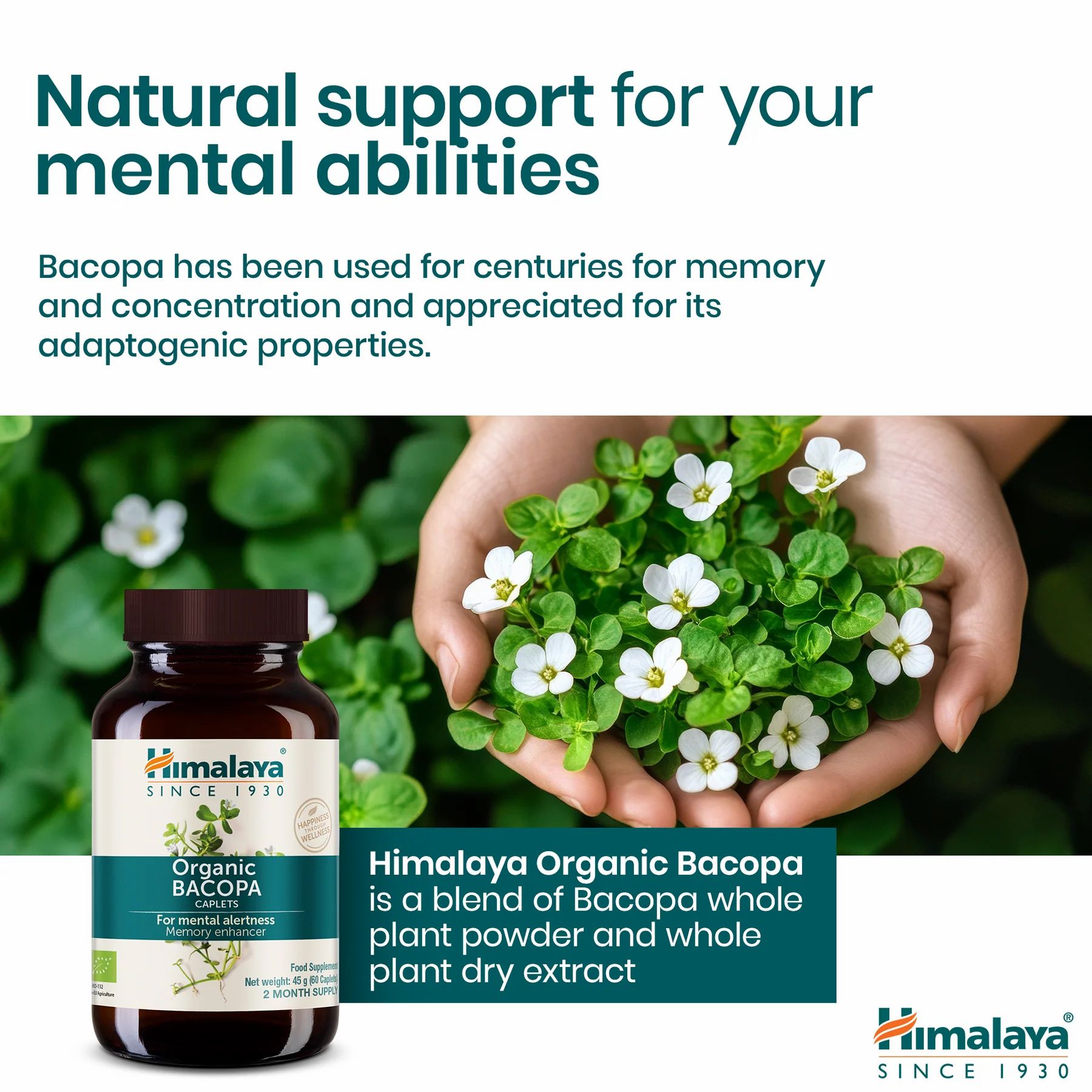 Himalaya Bio-Bacopa fles naast planten met witte bloemen. Tekst: Himalaya Organic Bacopa. Productbeschrijving.