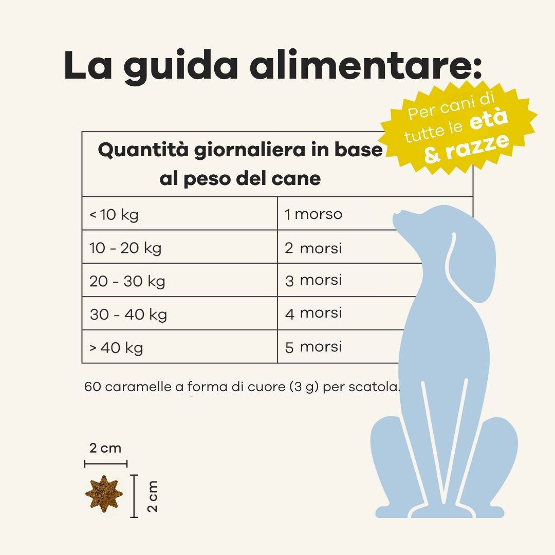 Tableau des recommandations alimentaires. Quantité journalière selon le poids du chien. 60 friandises en forme de cœur. 2 cm x 2 cm.