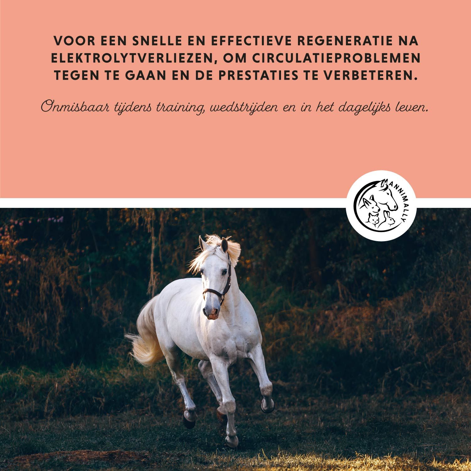 Tekst met logo en galopperend paard. Tekst: Voor snelle regeneratie na elektrolytverliezen, om circulatieproblemen tegen te gaan.