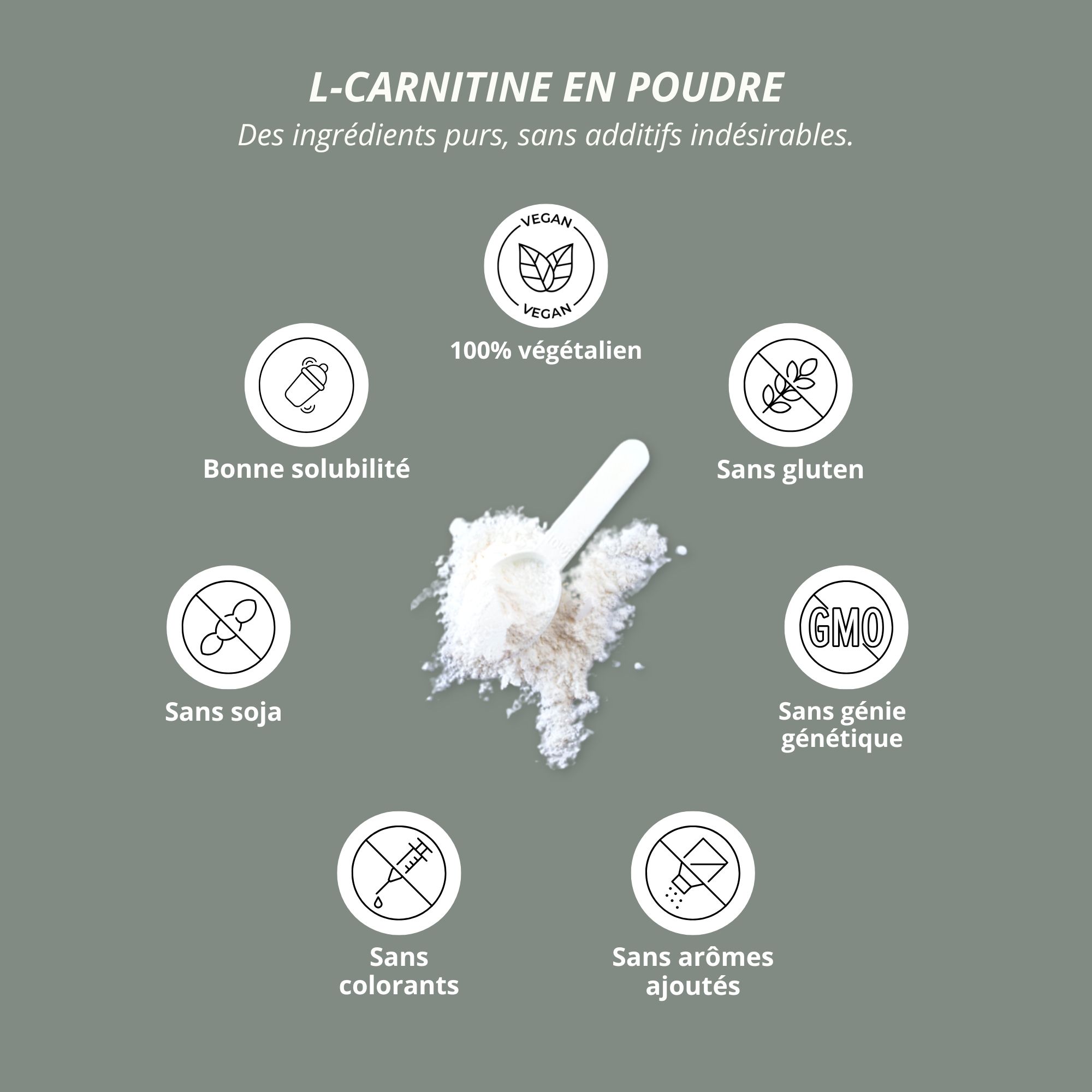 Poudre de L-Carnitine : 100% vegan, bonne solubilité, sans gluten, sans soja, sans OGM, colorants, arômes.