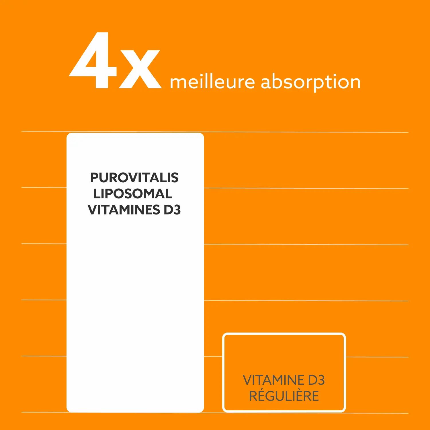 Graphique: 4x meilleure absorption. Comparaison: Purovitalis Vitamine D3 liposomale vs. Vitamine D3 régulière.
