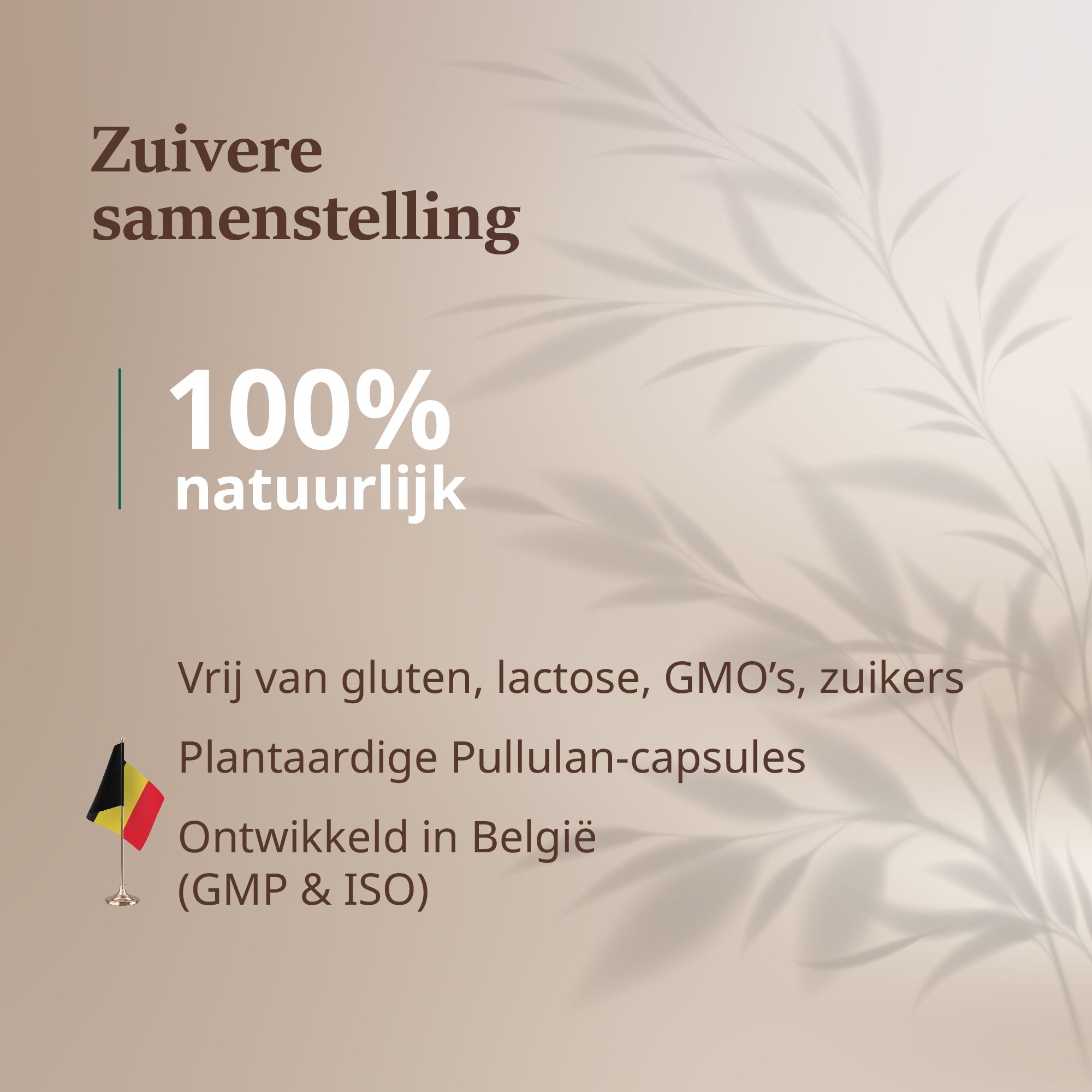 Tekst: 100% natuurlijk. Vrij van gluten, lactose, GMO's, suikers. Plantaardige Pullulan-capsules. Ontwikkeld in België (GMP & ISO).