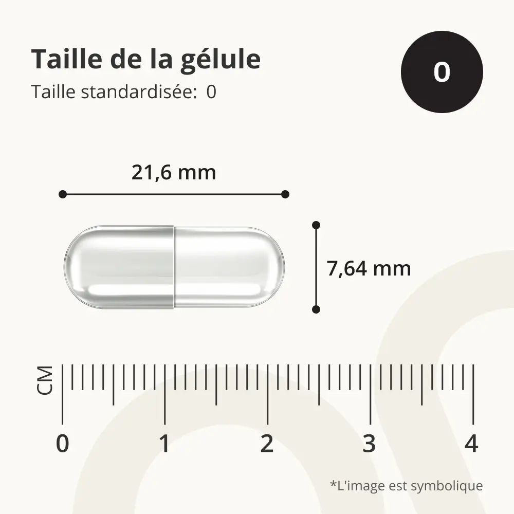 Gélule avec mesures. Longueur : 21,6 mm, diamètre : 7,64 mm. Échelle en mm. Taille standard : 0.