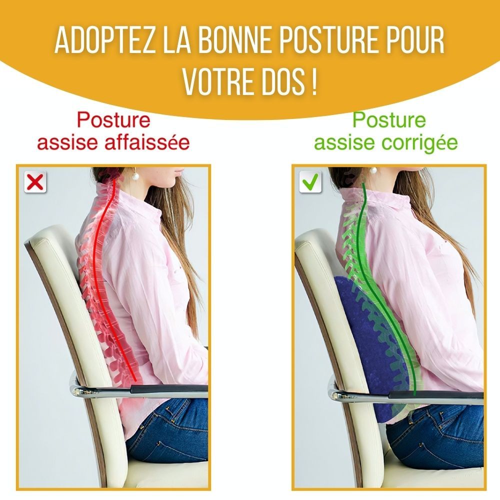 INPHYSIO Coussin lombaire avec sangle de fixation, soutien doux