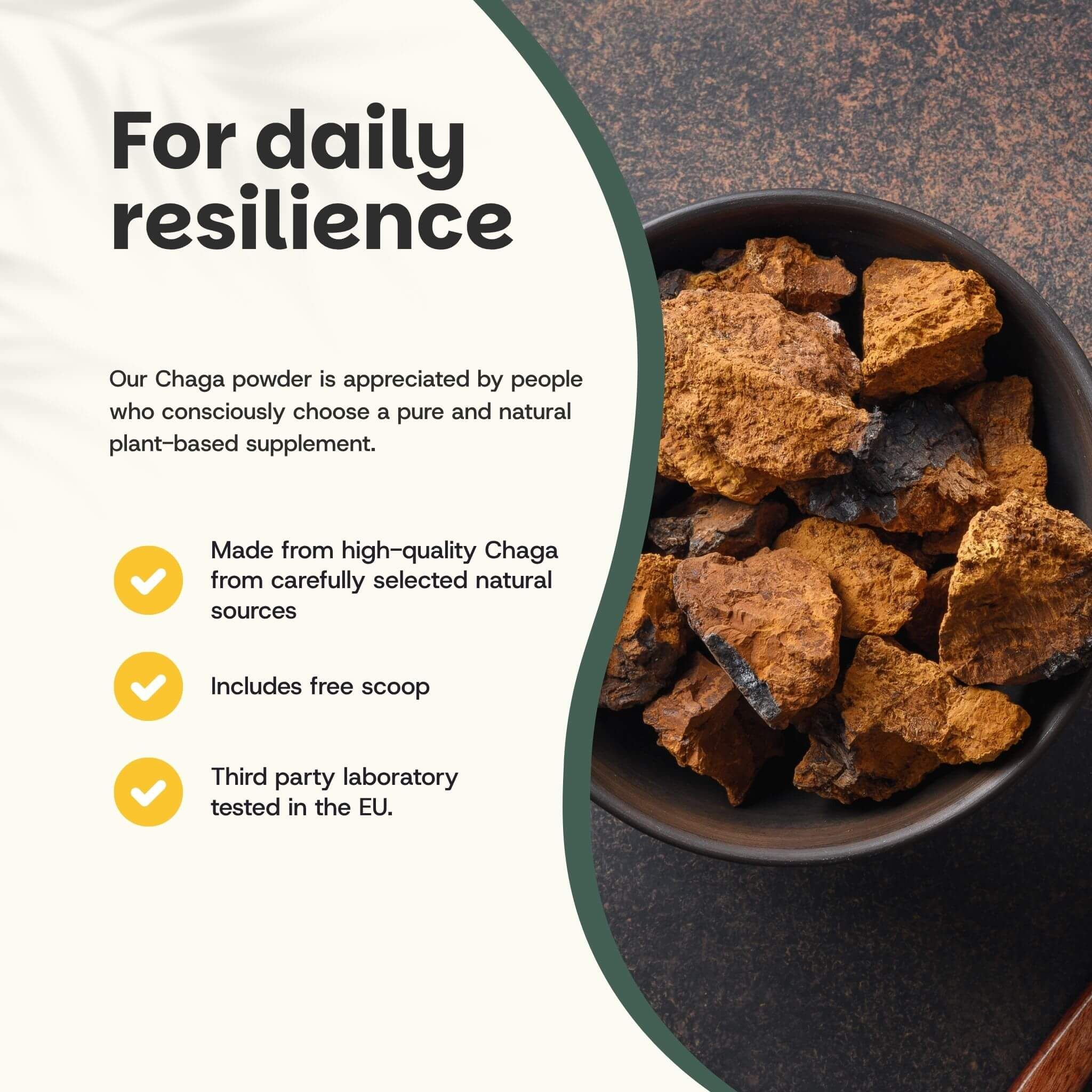 Bol de morceaux de Chaga. Texte: Pour la résilience quotidienne. Fabriqué avec du Chaga de haute qualité. Comprend une cuillère.