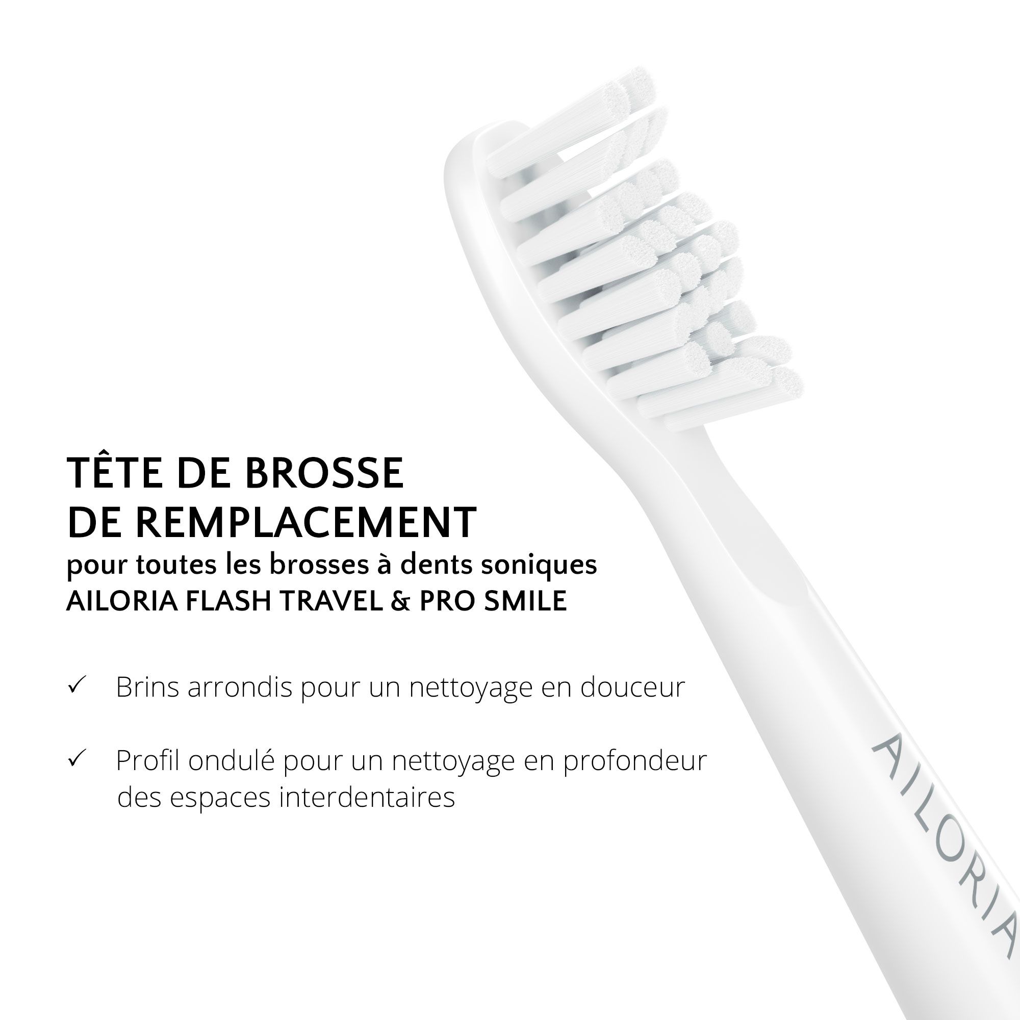 Gros plan d'une tête de brosse à dents blanche. Texte: Tête de remplacement pour AILORIA FLASH TRAVEL & PRO SMILE. Soies arrondies.