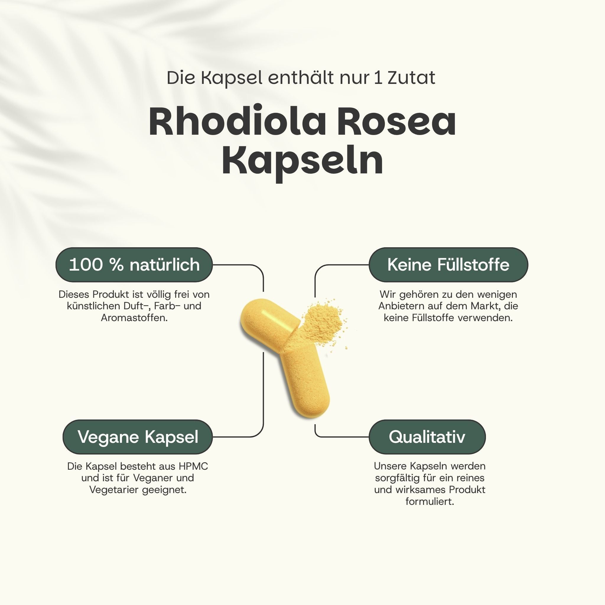 Een gele Rhodiola Rosea capsule, geopend, met poeder ernaast. Informatie over natuurlijke ingrediënten en veganistische capsules.
