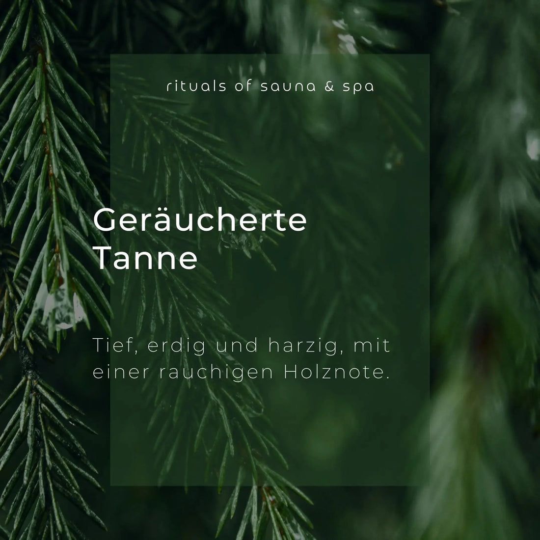 Tekst op groene achtergrond: Geräucherte Tanne. Diep, aards en harsachtig, met een rokerige houtnoot. Omringd door sparrentakken.