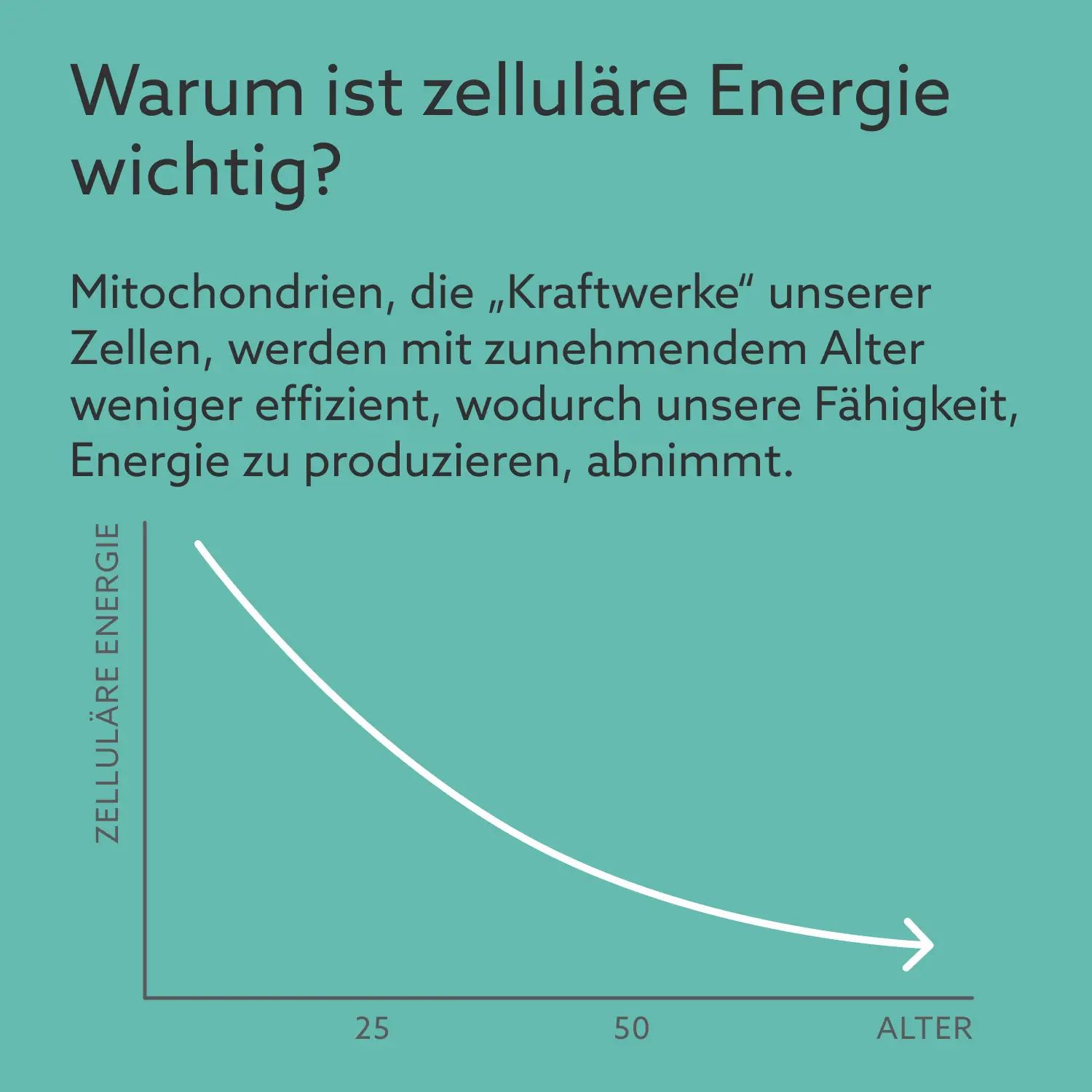 Grafiek: Cellulaire energie neemt af met de leeftijd. As: Cellulaire energie. As: Leeftijd (25-50).