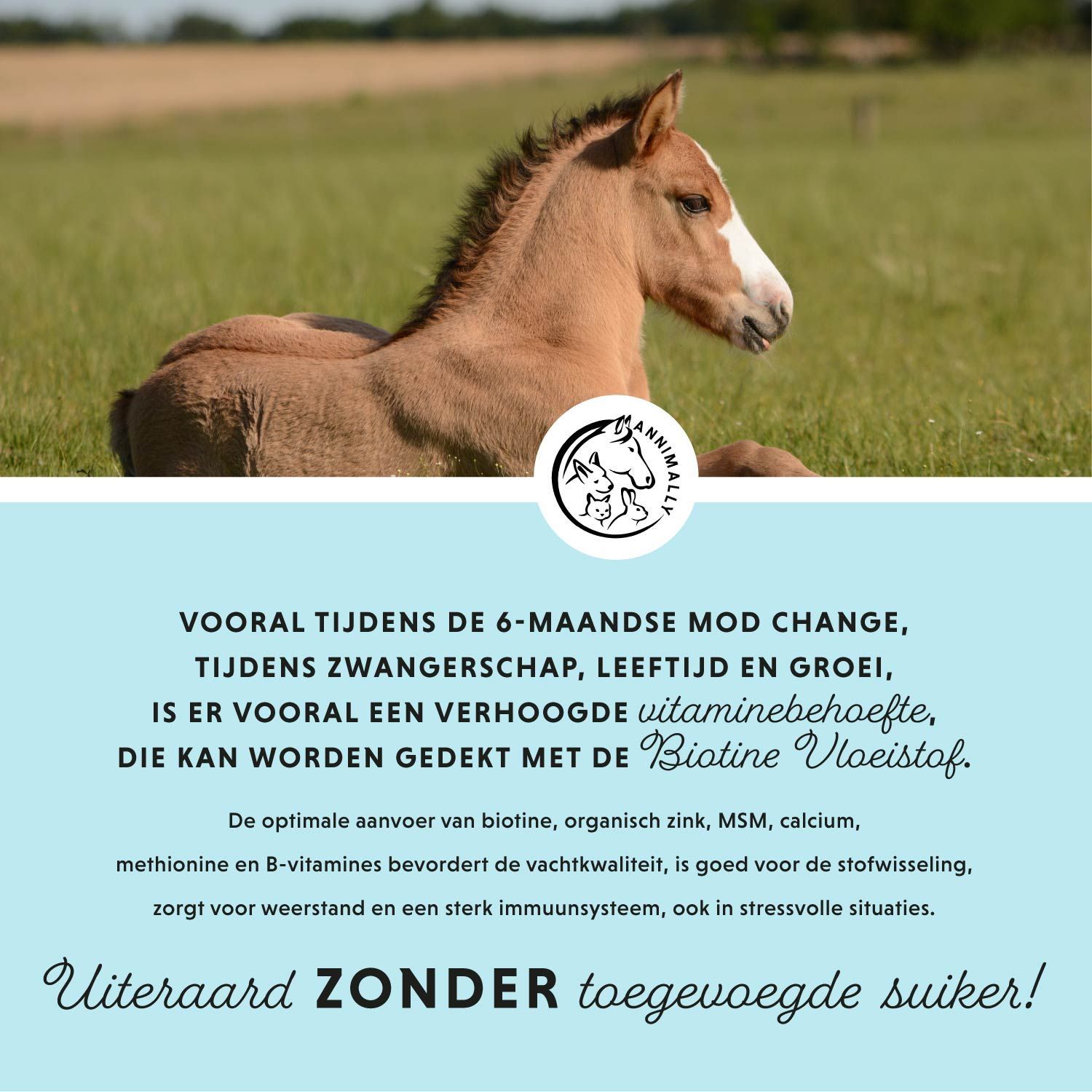 Tekst met logo. Ideale voedingscombinatie voor huid, vacht, manen, staart en hoeven. Premium supplement in vloeibare vorm.
