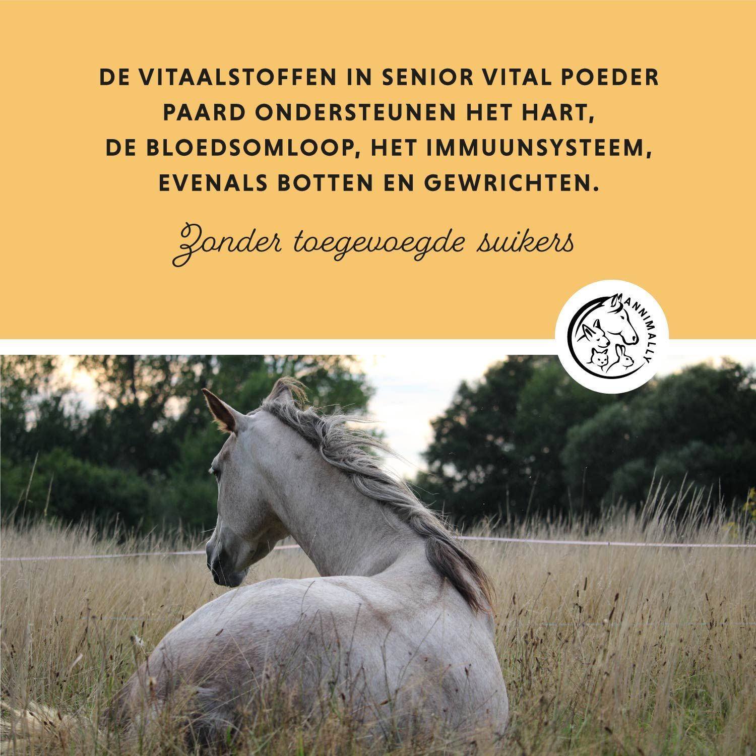Paard in het gras. Tekst: De voedingsstoffen in Senior Vital poeder PAARD ondersteunen. Logo met paard, hond en konijn.