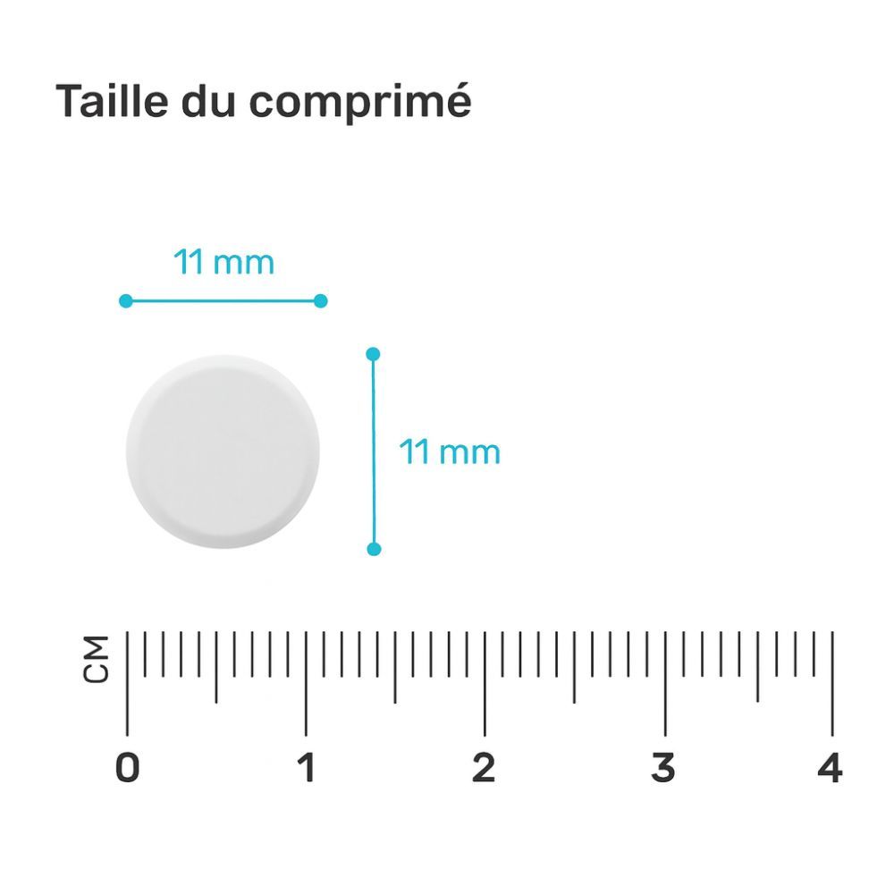 Gros plan sur un comprimé blanc de 11 mm de diamètre. Une échelle en cm indique la taille.
