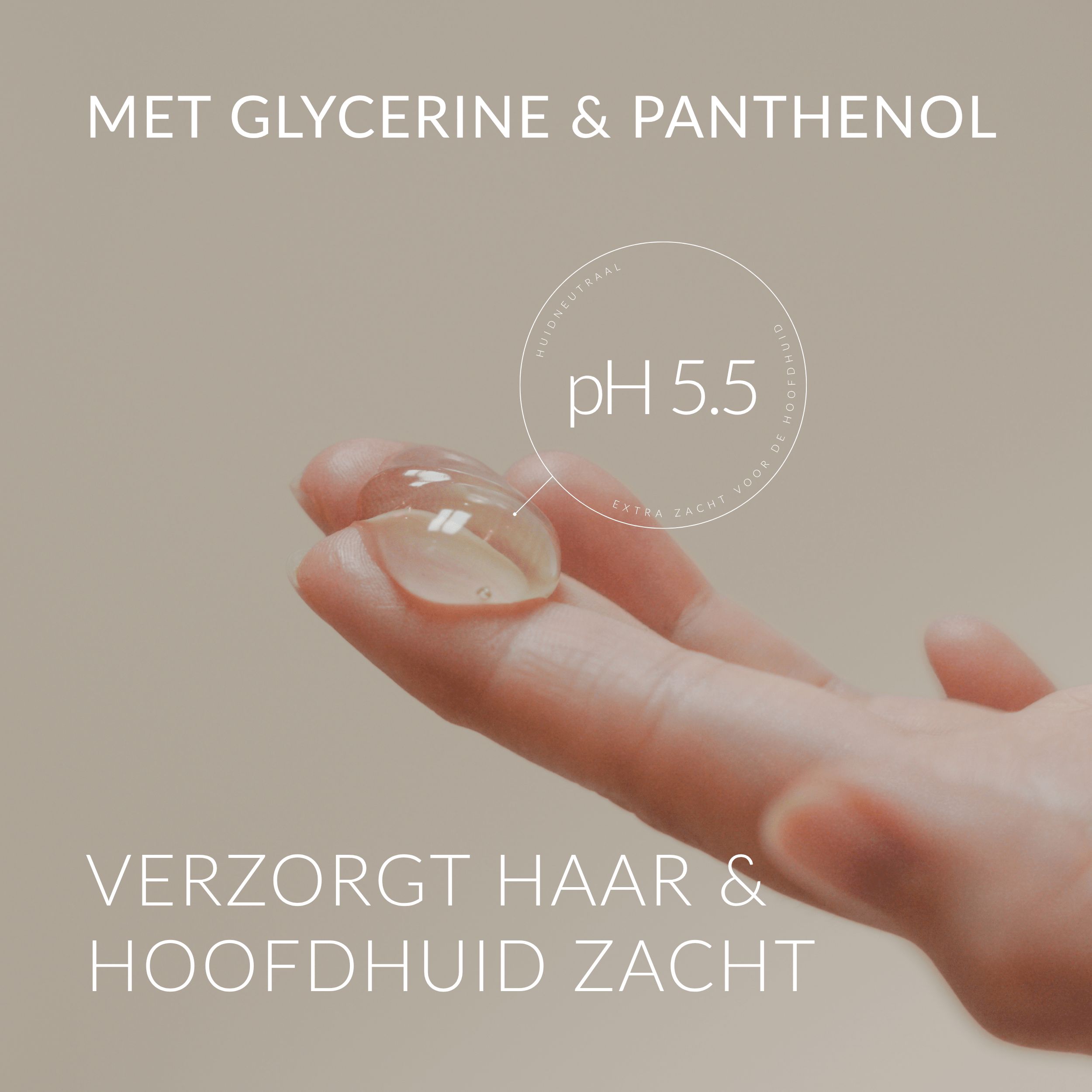 Hand met druppel shampoo. Tekst: MET GLYCERINE & PANTHENOL. pH 5.5. VERZORGT HAAR & HOOFDHUID ZACHT.