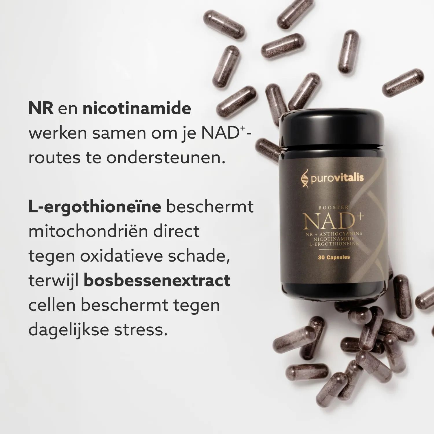 Fles en capsules. Tekst: NR en Nicotinamide ondersteunen NAD+-routes. L-ergothioneïne beschermt mitochondriën. Bosbessenextract beschermt cellen.