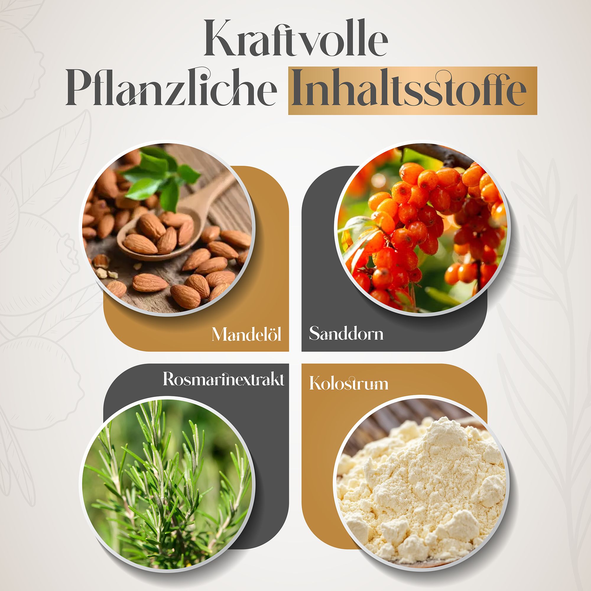 Quatre images: Huile d'amande, Argousier, Extrait de romarin, Colostrum. Texte: Puissants ingrédients végétaux.