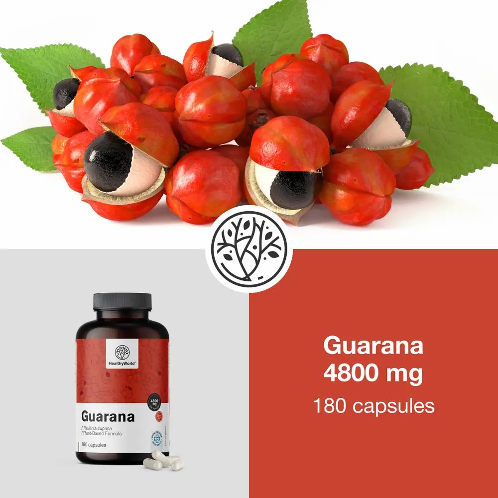 Guarana vruchten en fles met capsules. Opschrift: HealthyWorld, Guarana 4800 mg, 180 capsules.