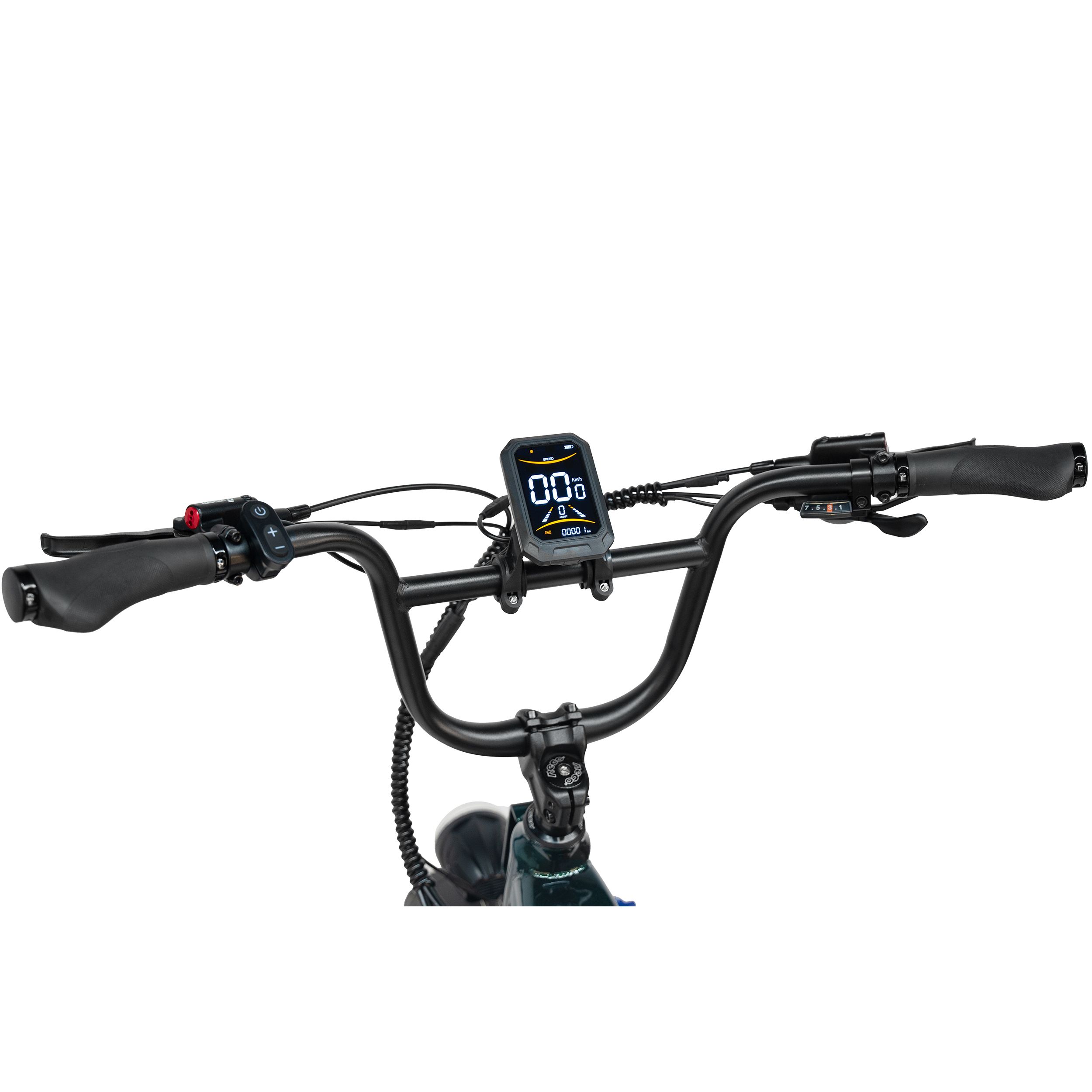 Maxtron Camel Vélo électrique pour adultes, 48 ​​V 18 Ah