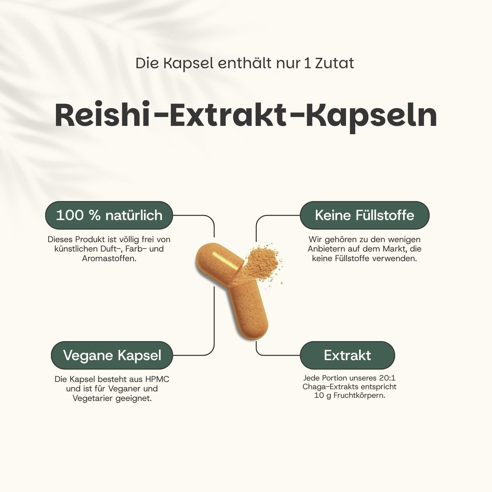 Reishi-extractcapsules: 100% natuurlijk, vegane capsule, geen vulstoffen, 20:1 extract.