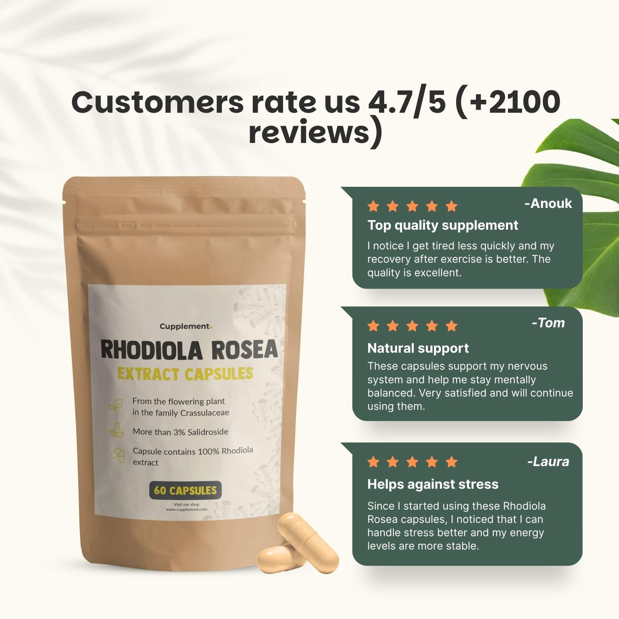 Sachet de gélules Cupplement Rhodiola Rosea. Avis clients : 4,7/5. Texte : Qualité supérieure, soutien naturel, aide contre le stress.