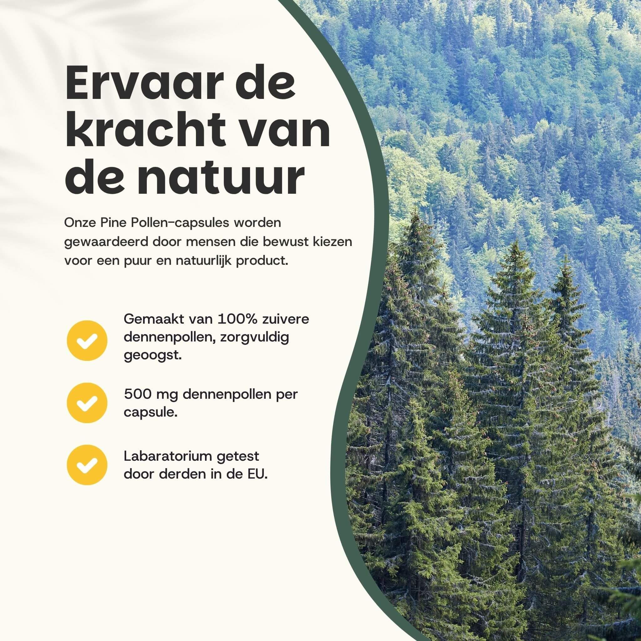 Tekst: Ervaar de kracht van de natuur. 100% pure pijnboompollen. 500 mg per capsule. Getest in de EU.