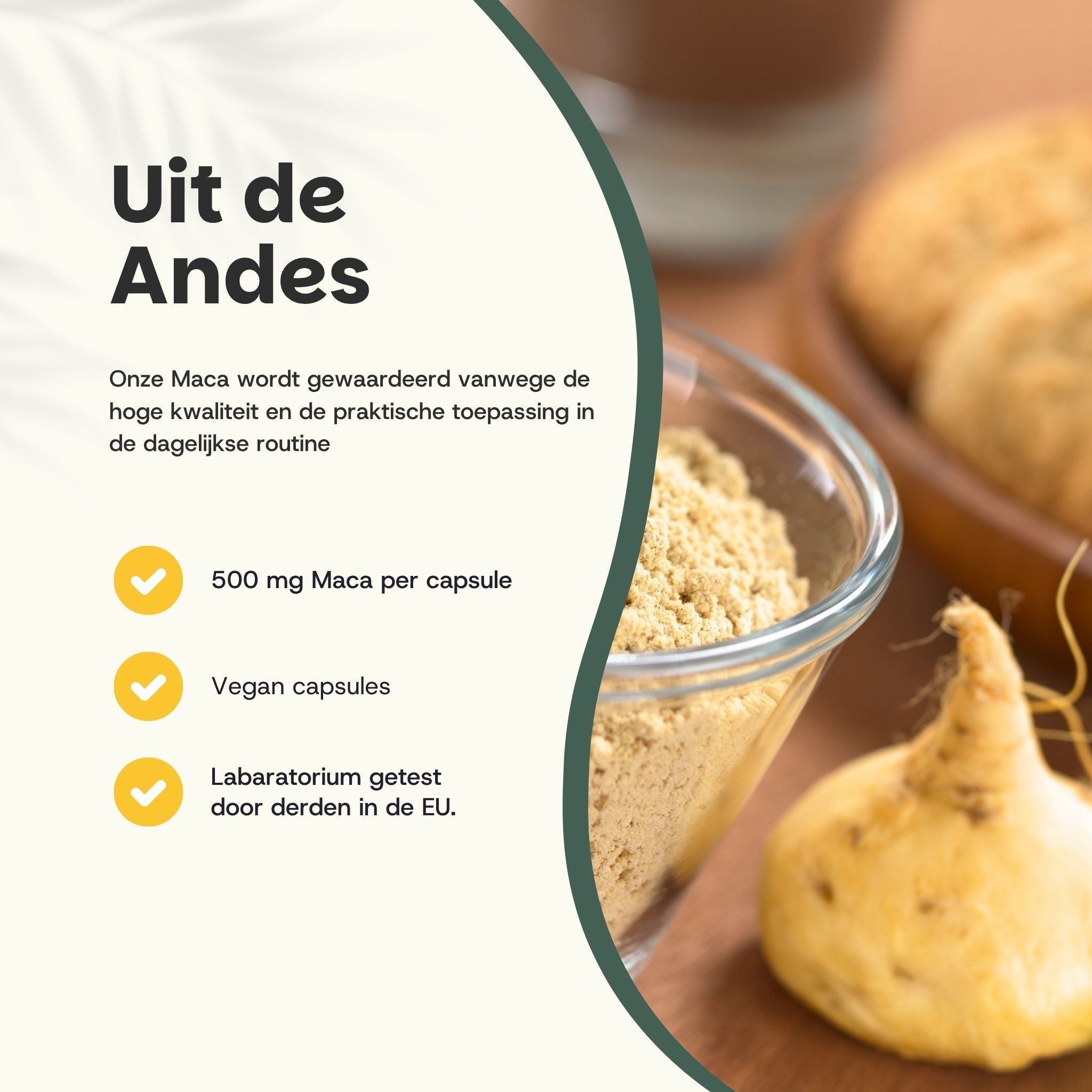 Kom met poeder, Maca-wortel en tekst. 500 mg Maca per capsule. Vegan capsules. Laboratorium getest.