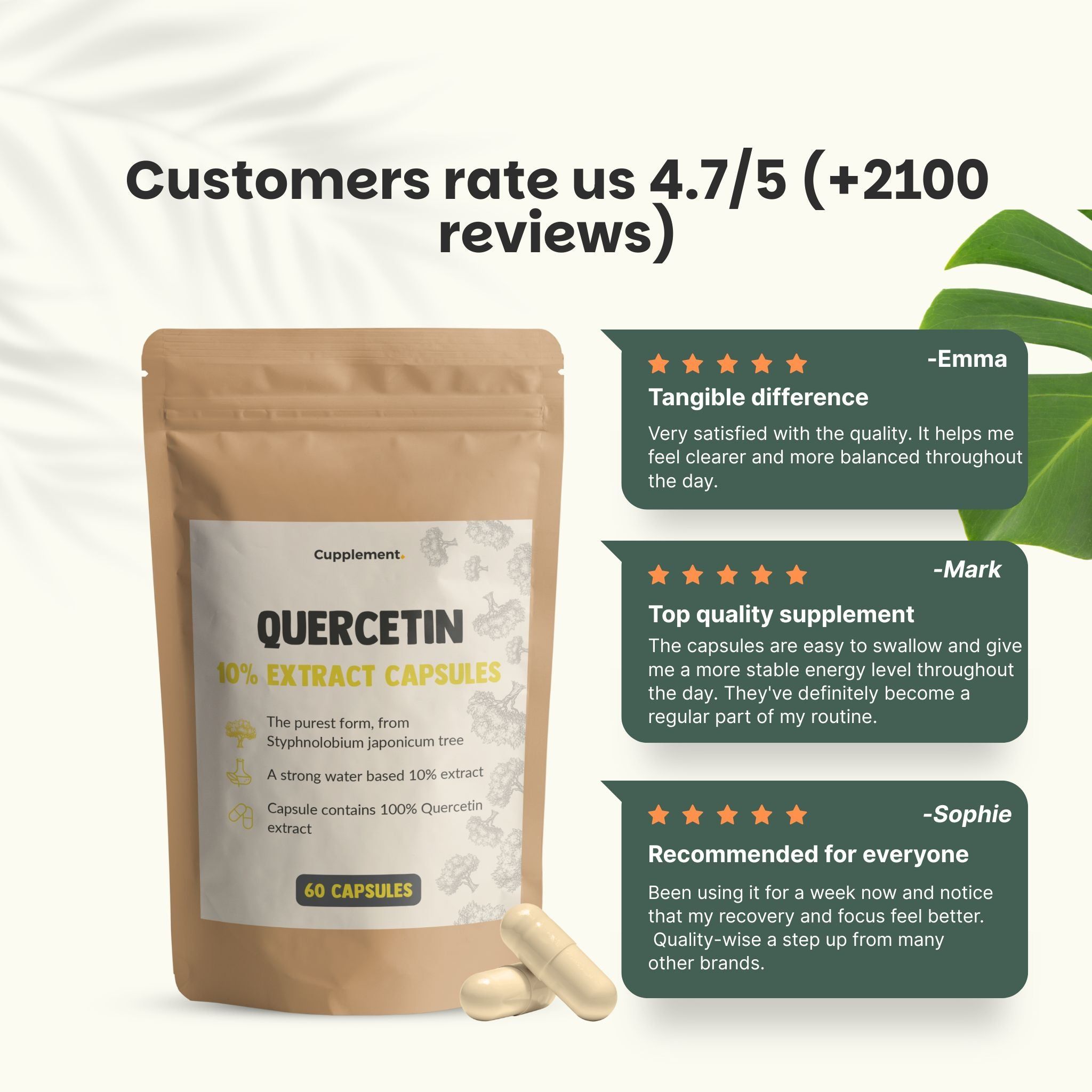 Sachet de gélules de quercétine. Texte: Quercetin 10% Extract Capsules, 60 gélules. Deux gélules.