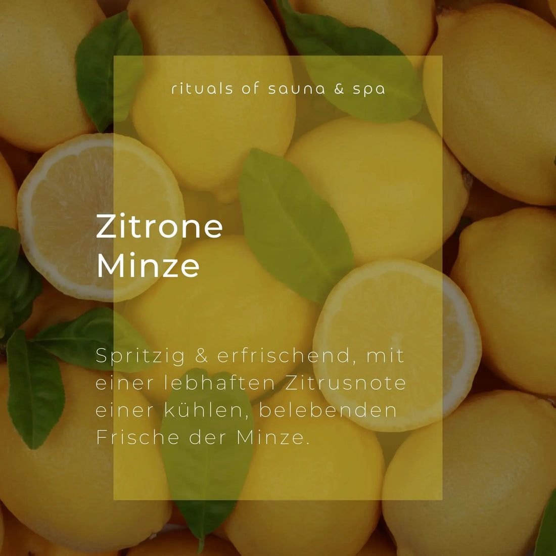 Citroenen en muntbladeren op lichte achtergrond. Tekst: Zitrone Minze. Fris & verfrissend, met een levendige citrusnoot, verkwikkende frisheid.