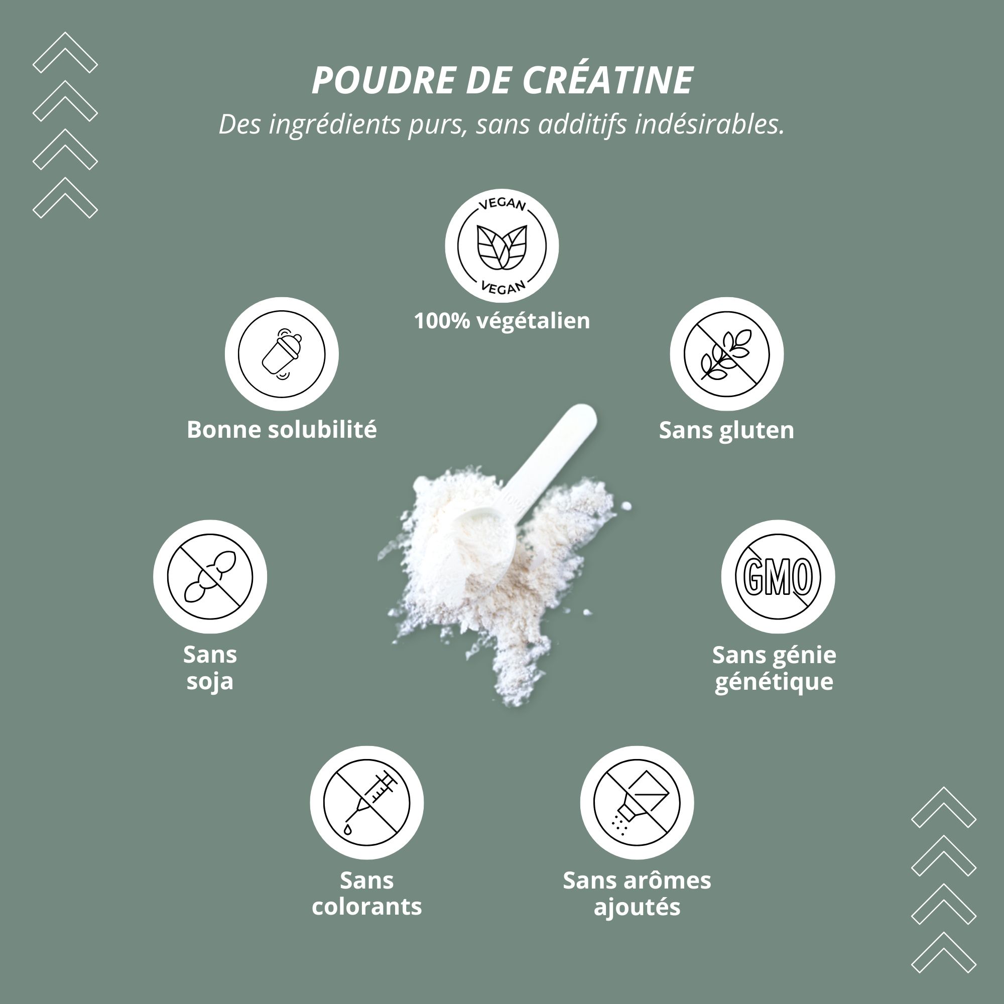 Poudre de créatine avec icônes pour vegan, sans gluten, sans soja, sans OGM, bonne solubilité, sans colorants/arômes.