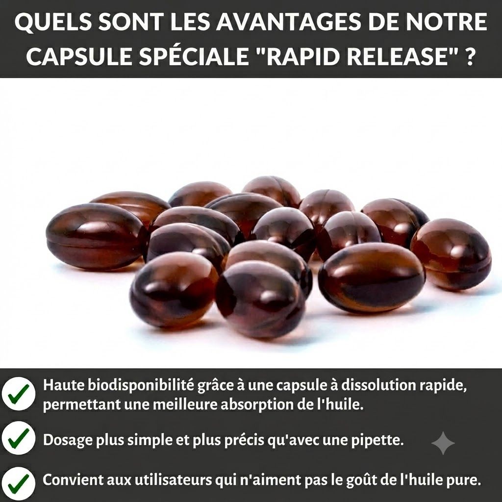 Plusieurs gélules ovales brun foncé, certaines transparentes, sur fond blanc.