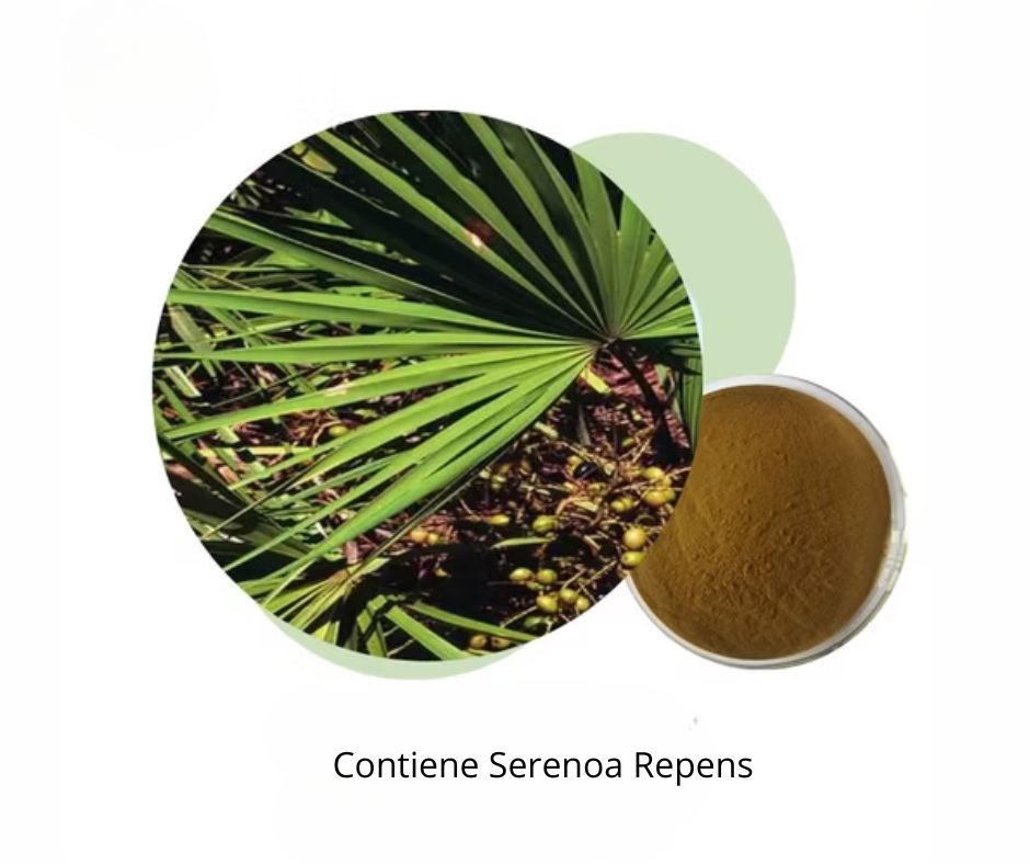 Cirkelvormige afbeelding van bladeren en bessen. Daarnaast een kom met poeder. Tekst: Contiene Serenoa Repens.