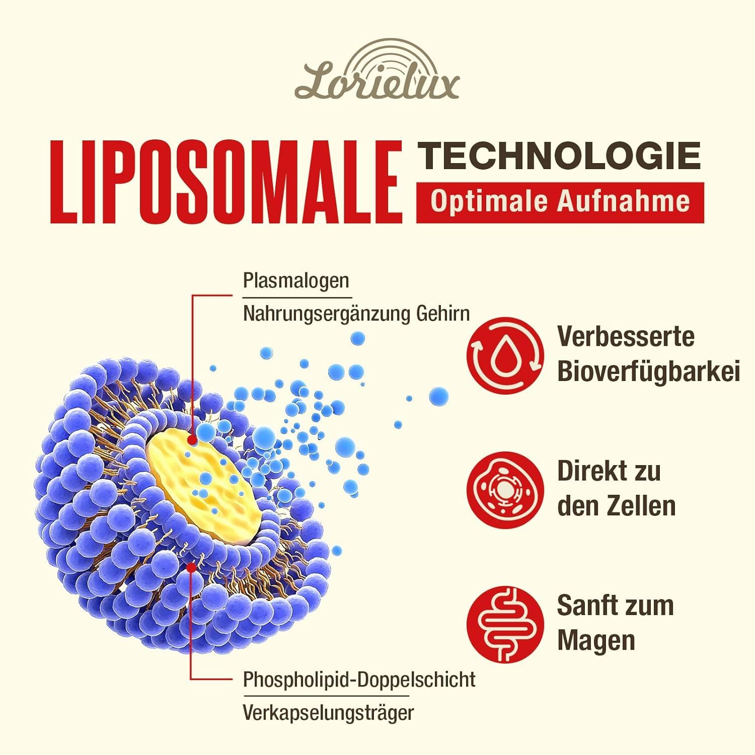 Technologie liposomale Lorielux : Absorption optimale, biodisponibilité améliorée, direct aux cellules, doux pour l'estomac. Plasmalogen pour le cerveau.