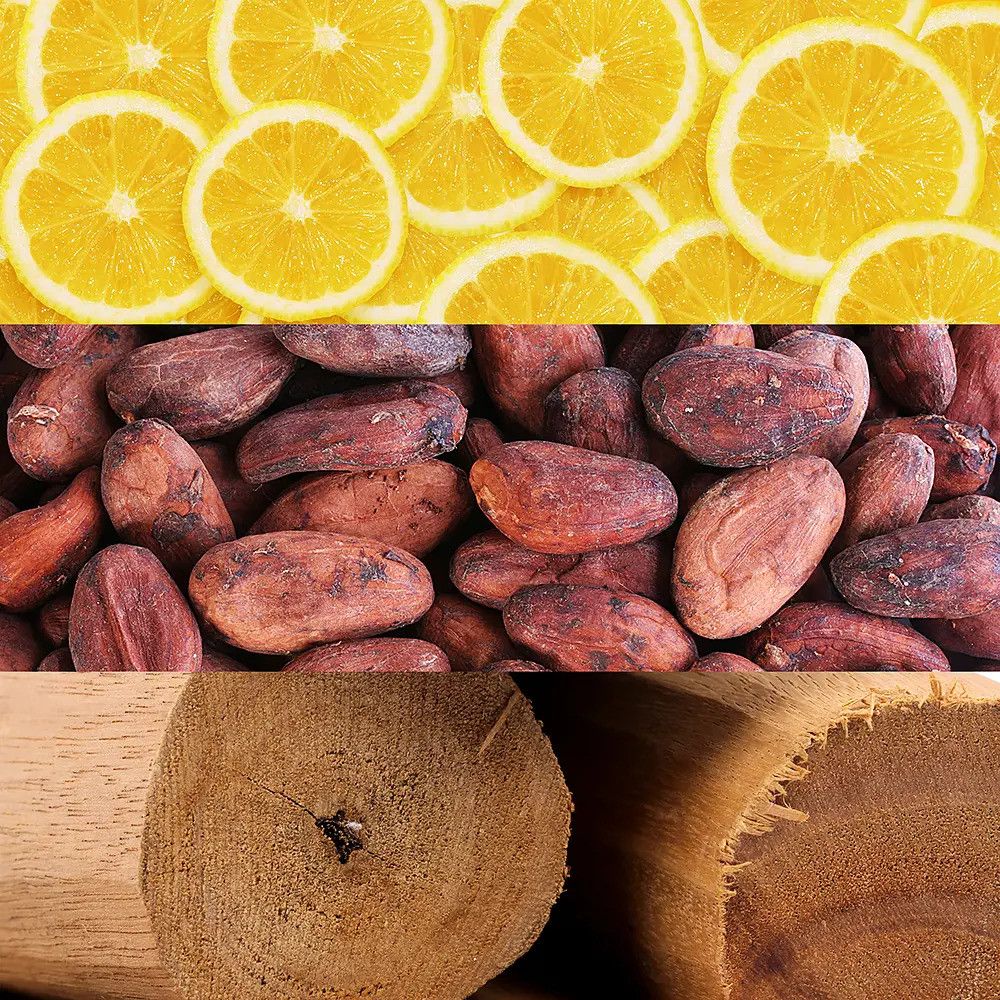 Trois bandes horizontales : tranches d'orange, fèves de cacao, bois. Ingrédients naturels pour parfum.