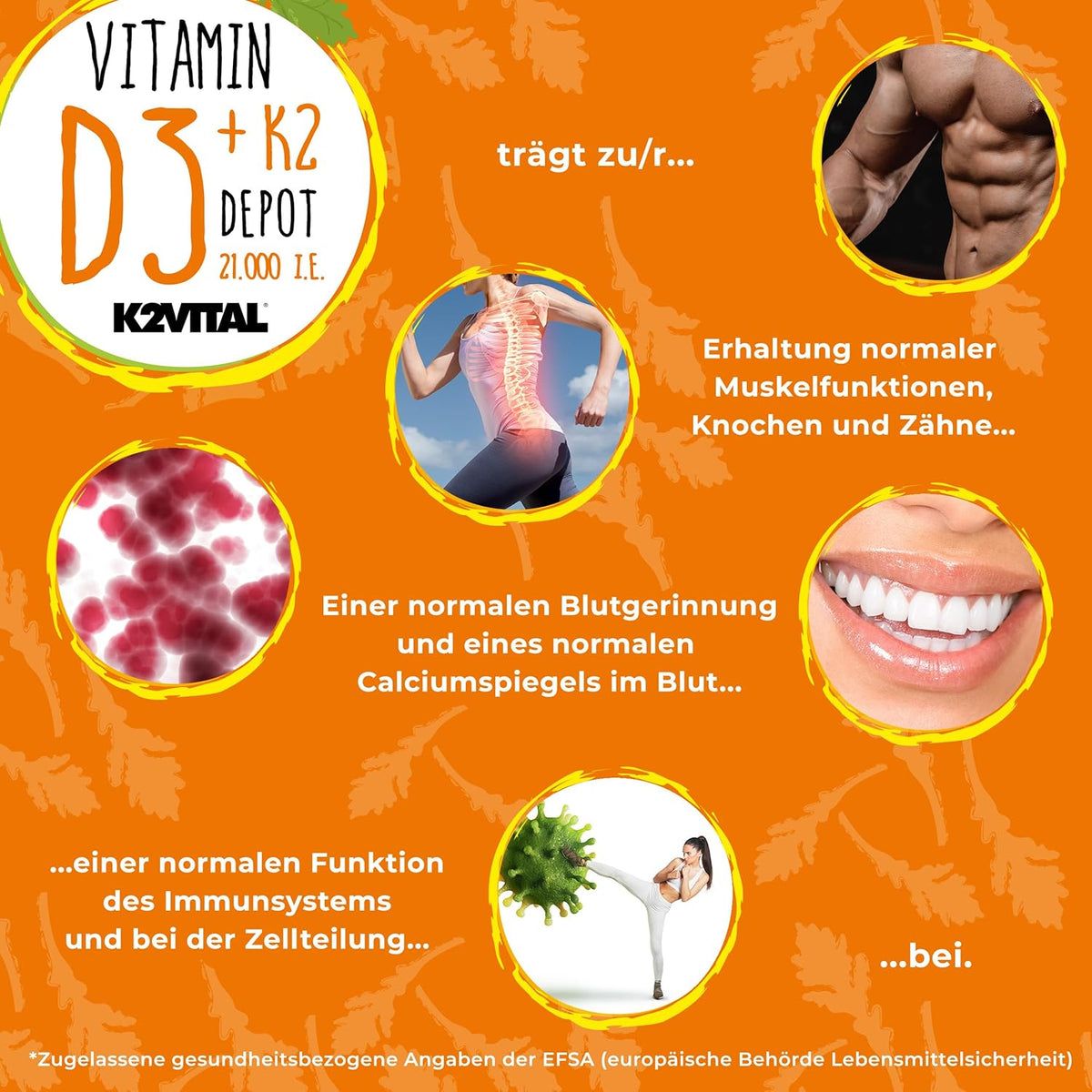Graphique avec images : muscles, os, dents, coagulation sanguine, système immunitaire. Texte : Vitamine D3+K2 Depot, 21.000 UI. K2VITAL. Allégations santé.