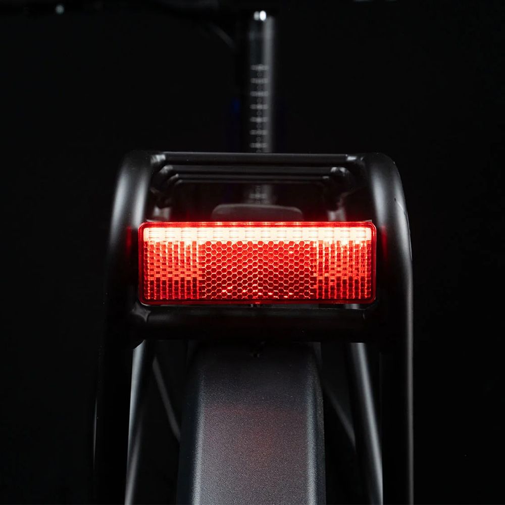 Achteraanzicht van de zwarte e-bike. Rood achterlicht op de bagagedrager.