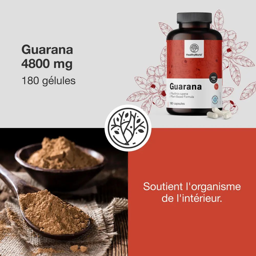 Gélules, poudre et flacon de guarana. Inscription: HealthyWorld, Guarana 4800 mg, 180 gélules. Texte: Soutient l'organisme de l'intérieur.