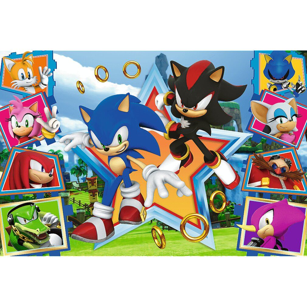 Puzzle Sonic et Shadow. Plusieurs personnages entourent les personnages principaux. Anneaux dorés flottent.