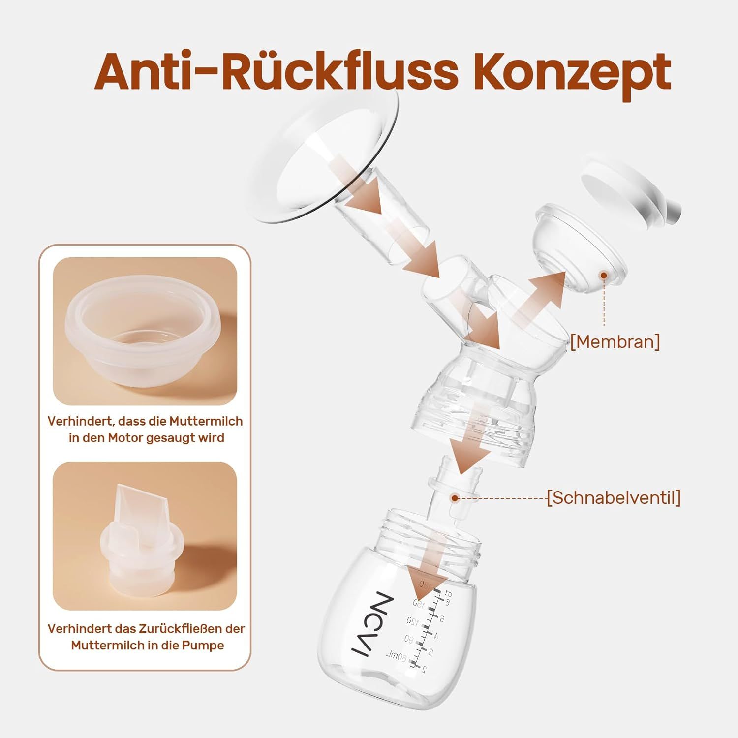 Schéma éclaté du concept anti-refoulement du tire-lait.