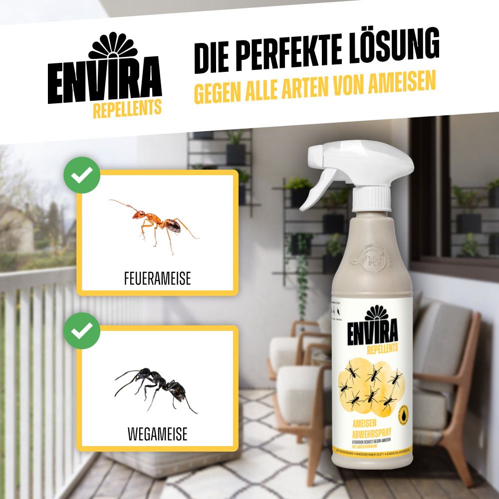 Envira Spray contre les fourmis