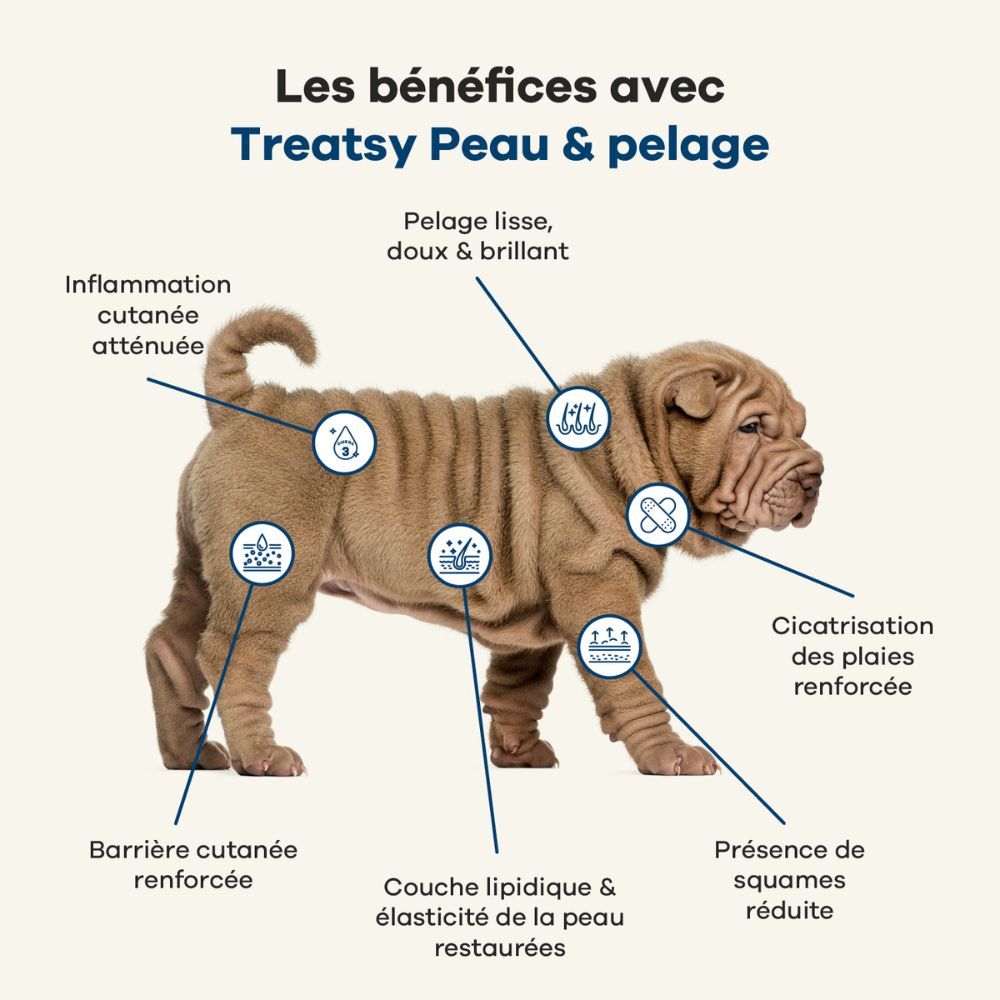 Chien avec des marques. Texte : Avantages de Treatsy Skin & Coat. Inflammation cutanée atténuée, pelage lisse, etc.