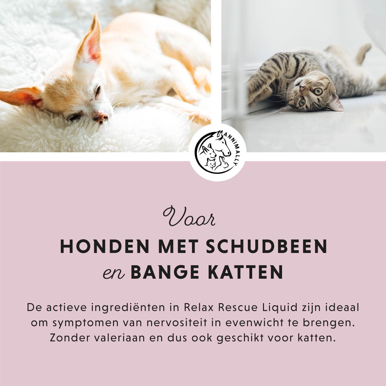 Roze achtergrond met tekst. Afgebeeld: kat, hond. Tekst: Voor honden met schudbeen en bange katten. Tekst over ingrediënten.