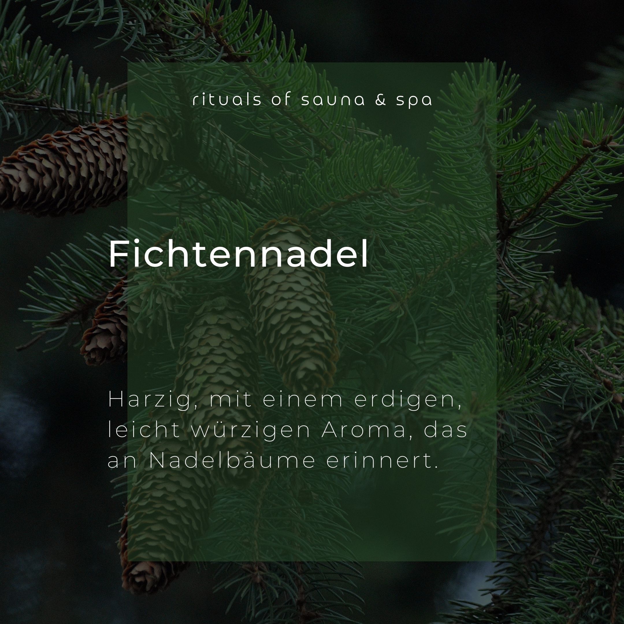 Tekst op groene achtergrond: Fichtennadel. Beschrijving van het aroma. Achtergrond met dennentakken en kegels.