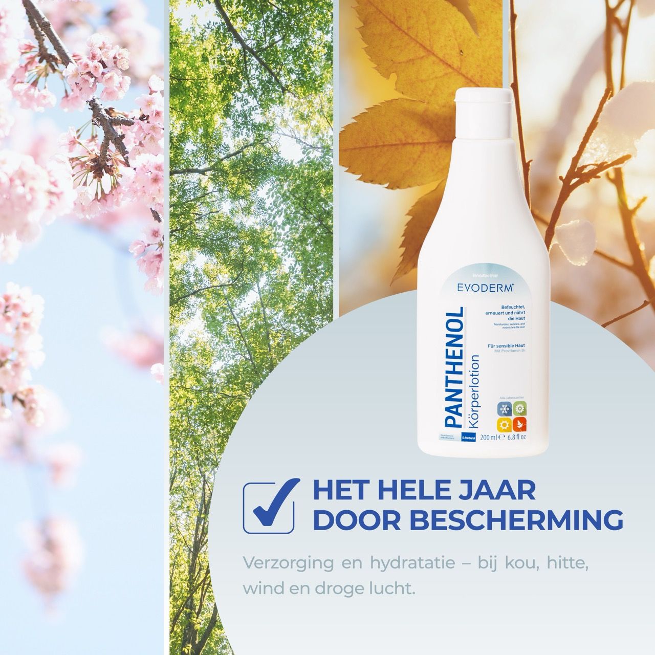 EVODERM Panthenol lichaamslotion. Fles voor natuurlandschap. Tekst: Het hele jaar door bescherming. Verzorging en hydratatie.
