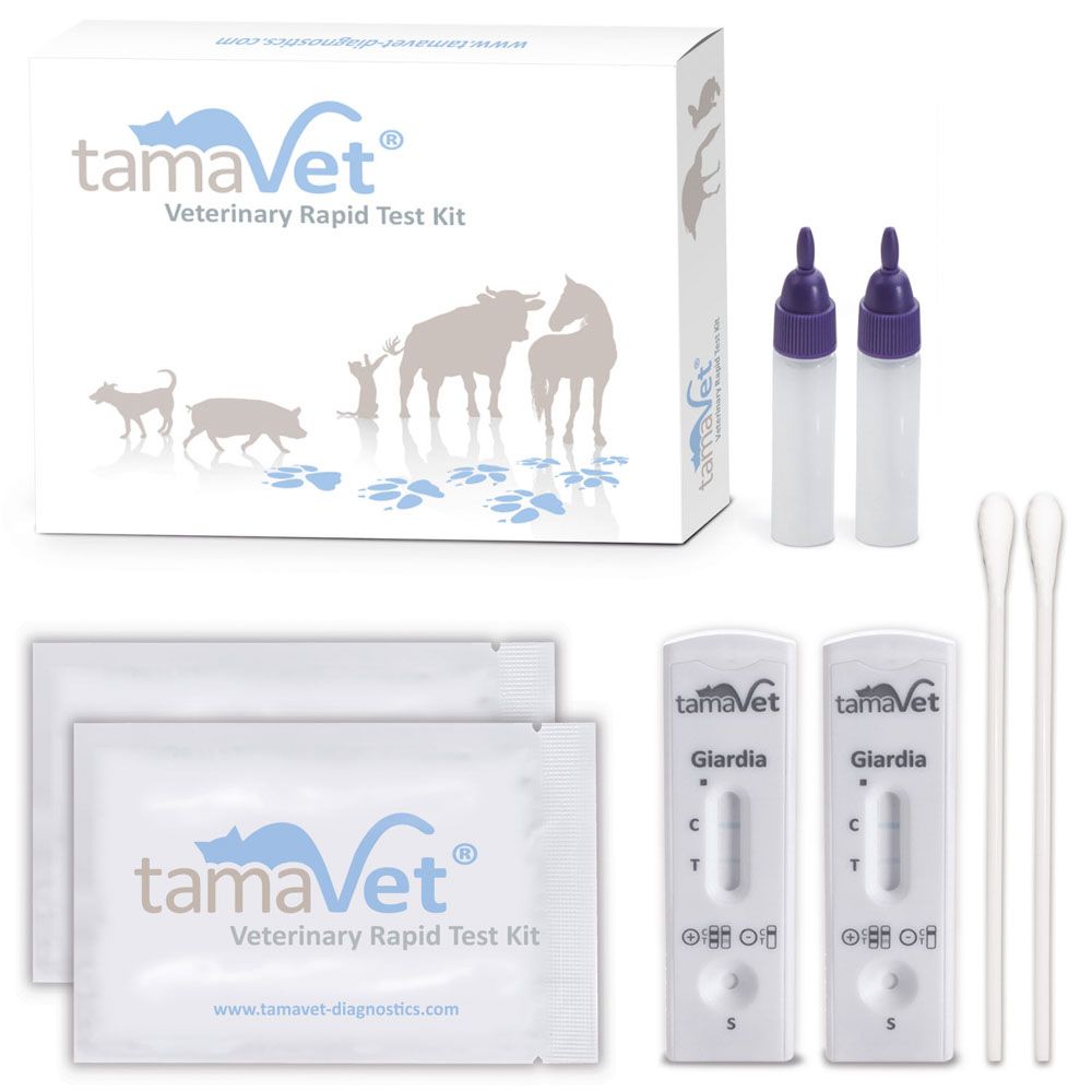 tamaVet Giardien Sneltest voor Honden en Katten