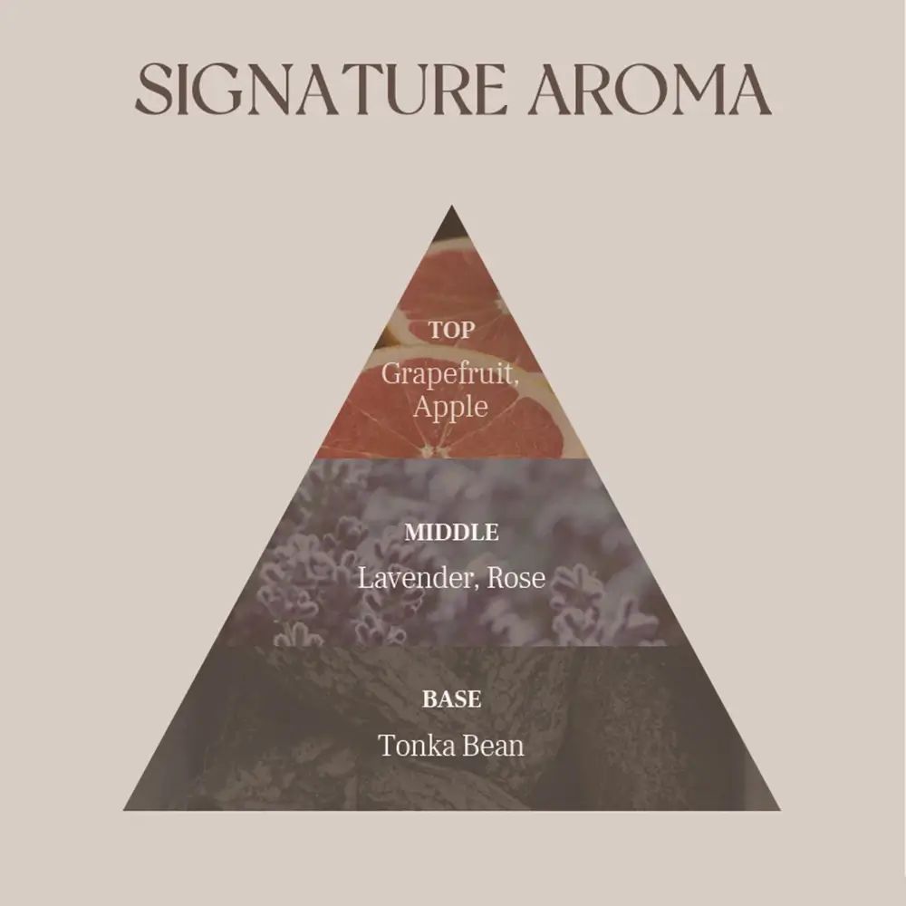 Pyramide olfactive avec les notes de pamplemousse, pomme, lavande, rose et fève tonka.