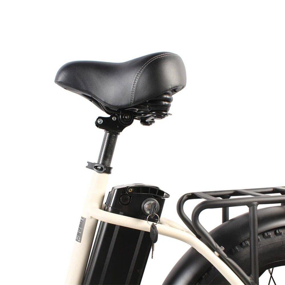 Univercycle B5(Venere) Elektrische fiets met voordrager, 48V 15AH accu