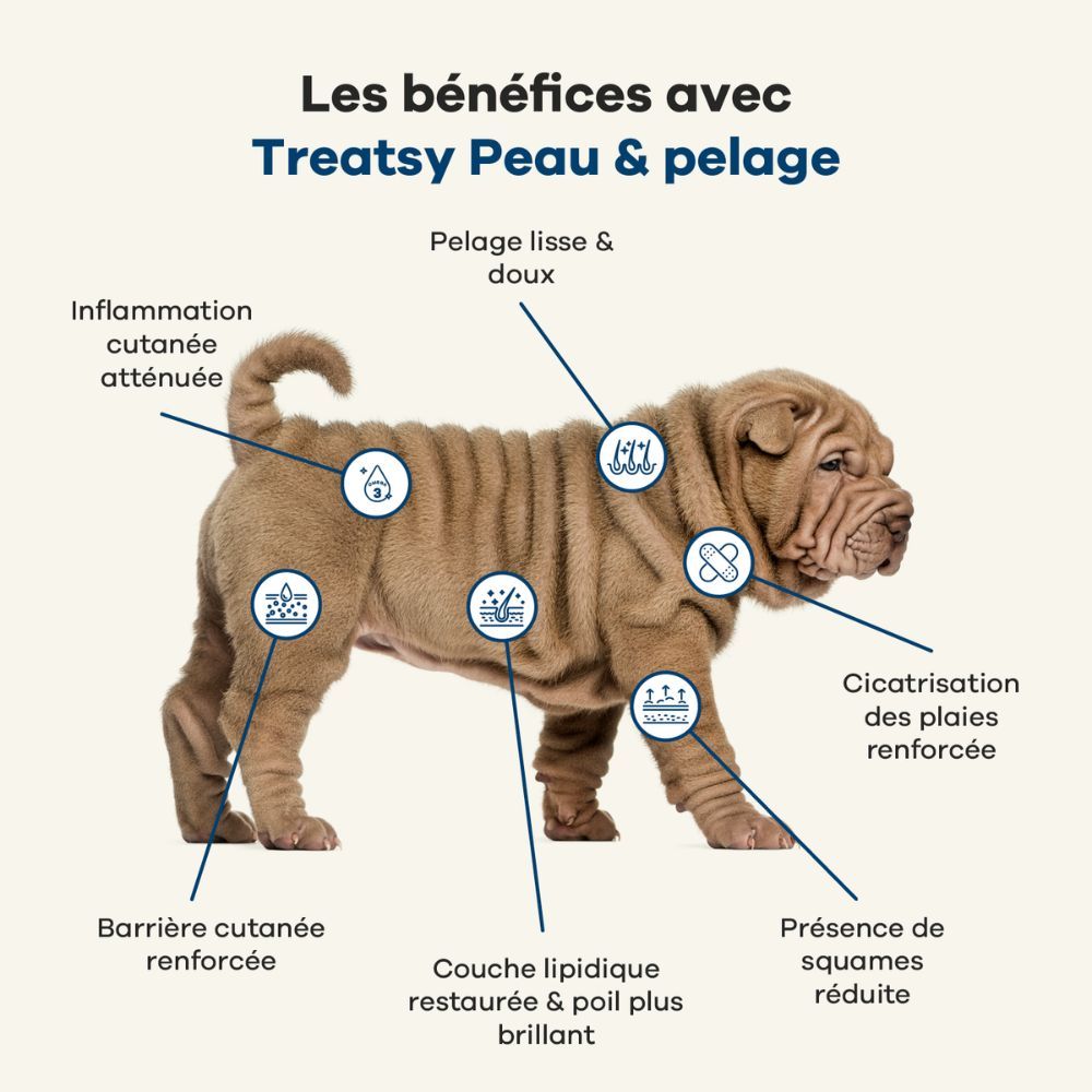 Treatsy Complément Alimentaire pour chien - Peau & Pelage