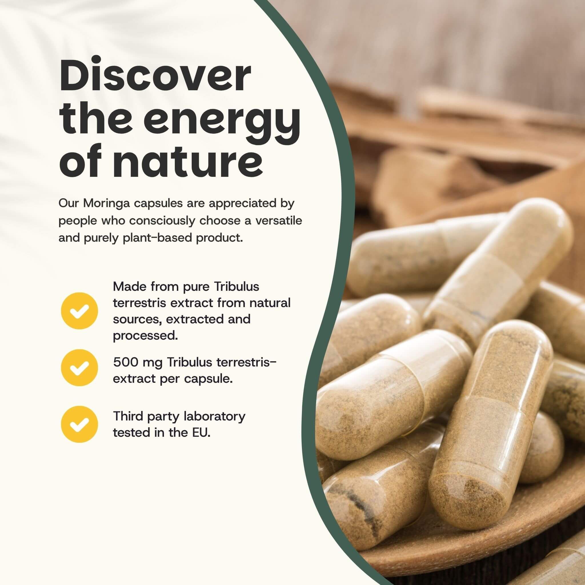 Capsules sur une cuillère. Texte: Découvrez l'énergie de la nature. 500 mg d'extrait de Tribulus Terrestris.