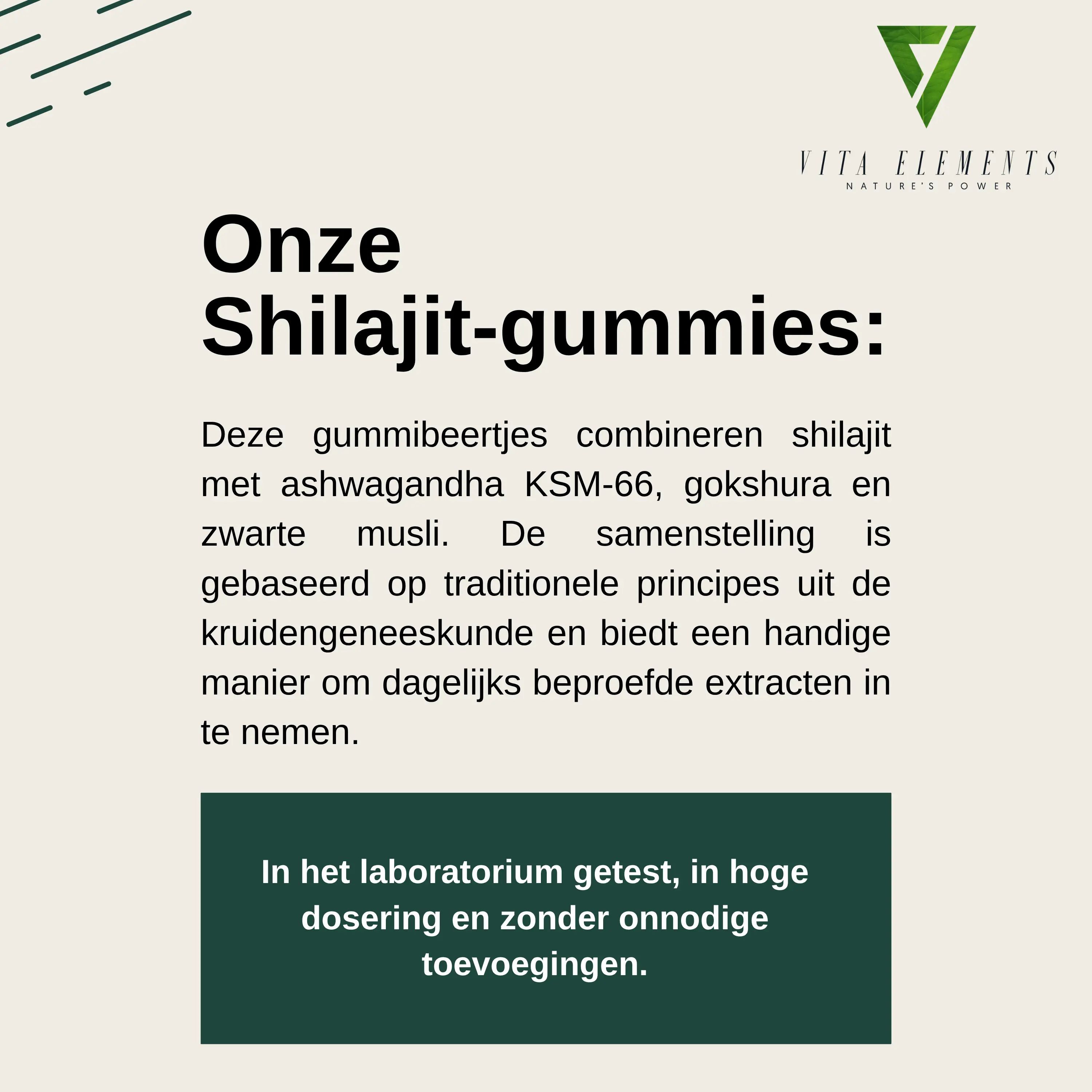 Vita Elements Himalaya Shilajit Gold-gummibeertjes