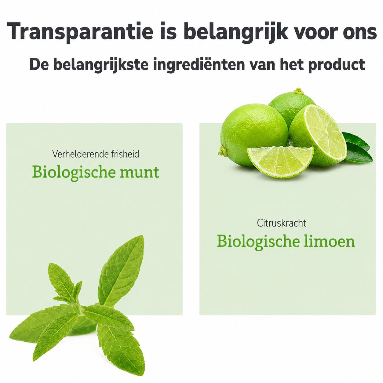 Fles Lavera Frische & Balance shampoo met aanduidingen voor biologische munt en biologische limoen. Tekst in Duits en Frans.